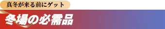 promotion flag